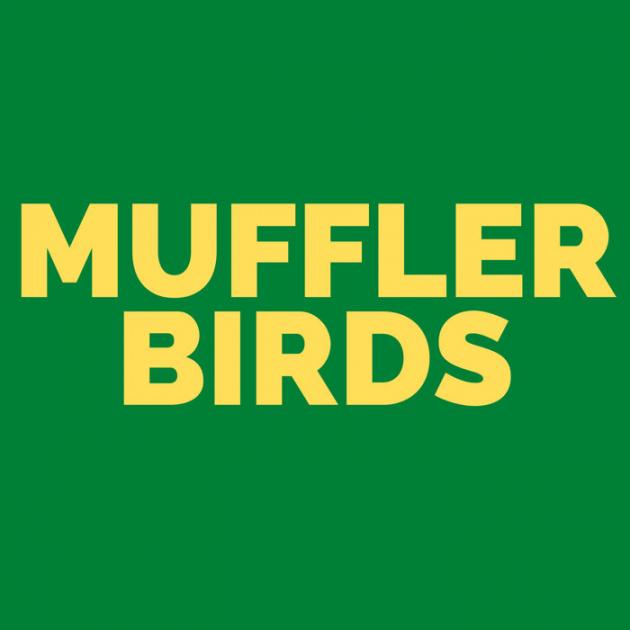 Muffler - Birds