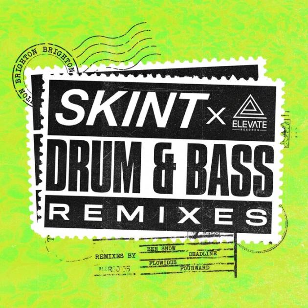 Various Artists - Skint Records Drum And Bass Remixes
