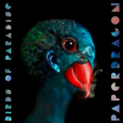 Paper Dragon - Birds Of Paradise EP