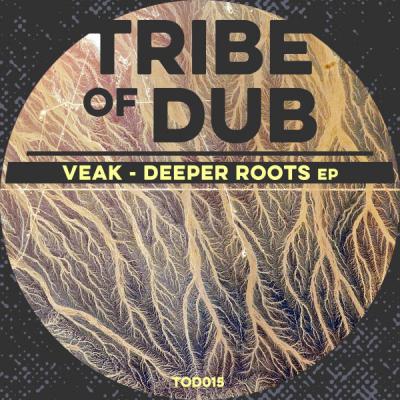 JDNB Premiere - Veak - Deeper Roots EP